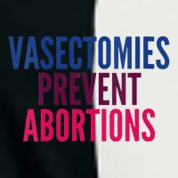 Vasectomies Prevent Abortions Protest Infant Baby Jersey Bodysuit