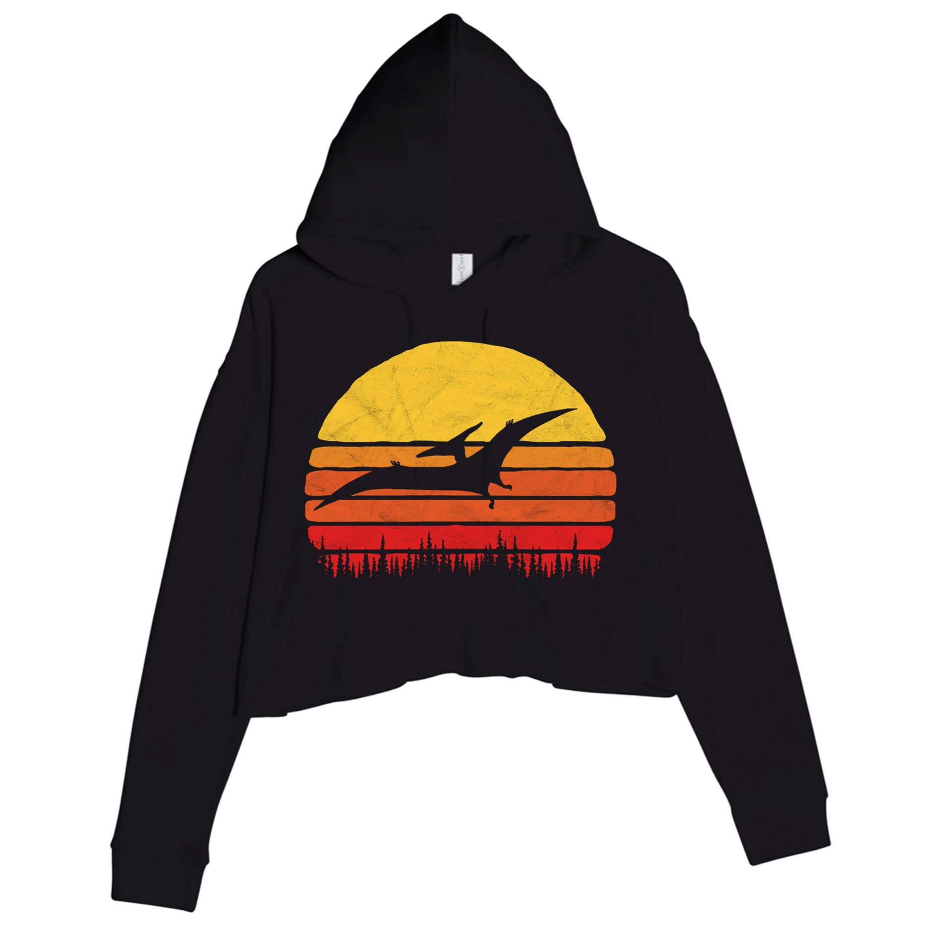 Vintage Pterodactyl Dinosaur Giftgift Retro Sun Crop Fleece Hoodie