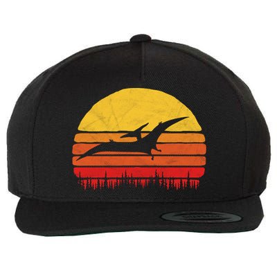 Vintage Pterodactyl Dinosaur Giftgift Retro Sun Wool Snapback Cap