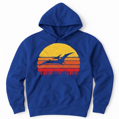 Vintage Pterodactyl Dinosaur Giftgift Retro Sun Hoodie