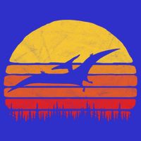 Vintage Pterodactyl Dinosaur Giftgift Retro Sun Bag