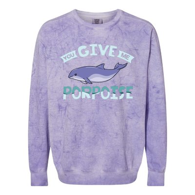 Vaquita Porpoise Dolphin Marine Biologist Colorblast Crewneck Sweatshirt