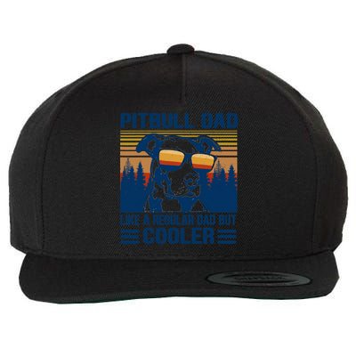 Vintage Pitbull Dad Like A Regular Dad But Cooler Funny Gift Wool Snapback Cap