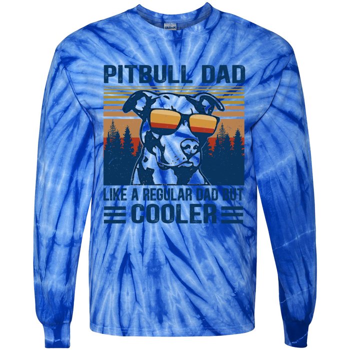 Vintage Pitbull Dad Like A Regular Dad But Cooler Funny Gift Tie-Dye Long Sleeve Shirt