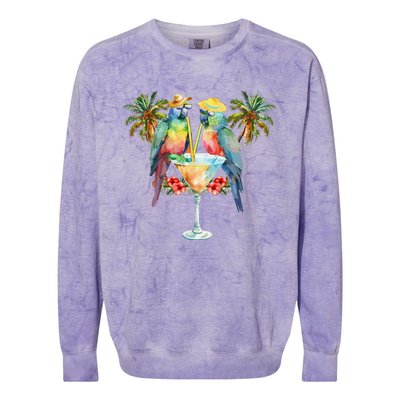 Vintage Parrots Drinking Margarita On Summer Party Bird Colorblast Crewneck Sweatshirt