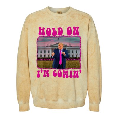 Voter President Election 2024 Biden Republican Colorblast Crewneck Sweatshirt