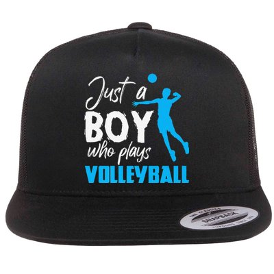 Volleyball Player funny Just A  Who Plays Volleyball Flat Bill Trucker Hat