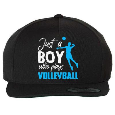 Volleyball Player funny Just A  Who Plays Volleyball Wool Snapback Cap