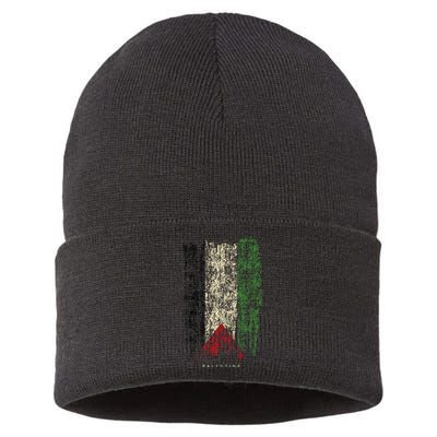 Vintage Palestine Flag Retro Palestinian Flag Palestinian Sustainable Knit Beanie