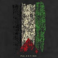 Vintage Palestine Flag Retro Palestinian Flag Palestinian Hat