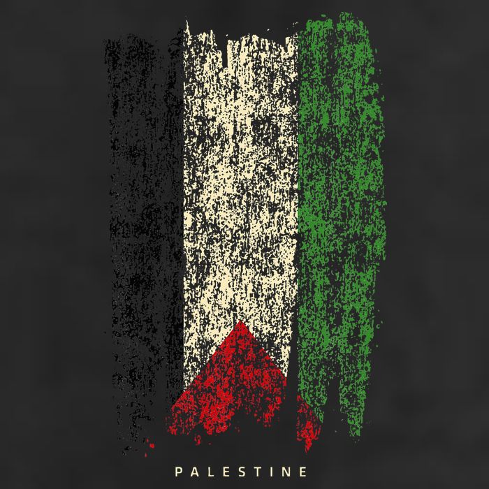 Vintage Palestine Flag Retro Palestinian Flag Palestinian Hat