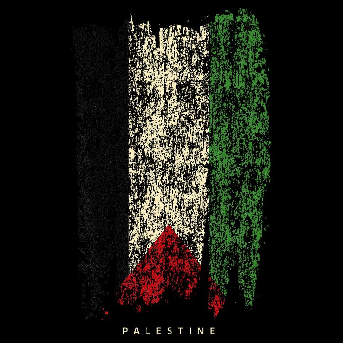 Vintage Palestine Flag Retro Palestinian Flag Palestinian Toddler T-Shirt