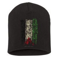 Vintage Palestine Flag Retro Palestinian Flag Palestinian Short Acrylic Beanie