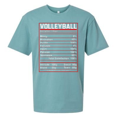 Volleyball Player Funny Volleyball Nutrition Facts Sueded Cloud Jersey T-Shirt