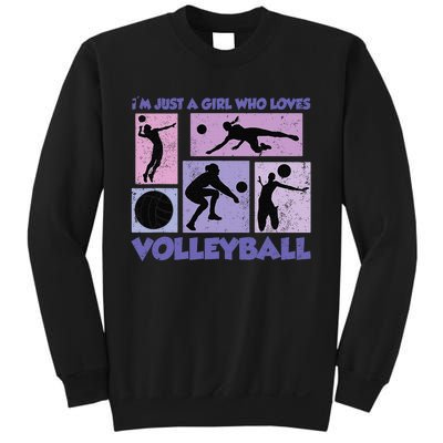 Volleyball Player I'm Just A  Who Loves Volleyball Sweatshirt