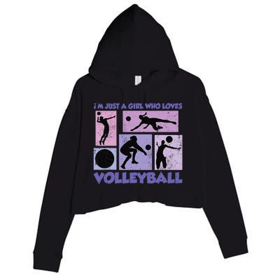 Volleyball Player I'm Just A  Who Loves Volleyball Crop Fleece Hoodie