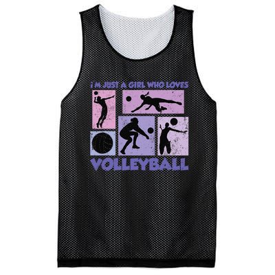 Volleyball Player I'm Just A  Who Loves Volleyball Mesh Reversible Basketball Jersey Tank