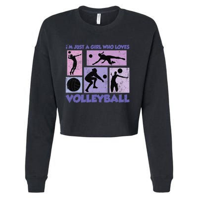 Volleyball Player I'm Just A  Who Loves Volleyball Cropped Pullover Crew