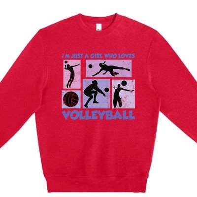 Volleyball Player I'm Just A  Who Loves Volleyball Premium Crewneck Sweatshirt