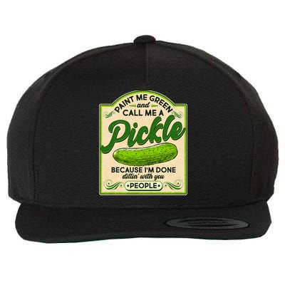Vintage Paint Me Green And Call Me A Pickle Im Done Dillin With You People Wool Snapback Cap