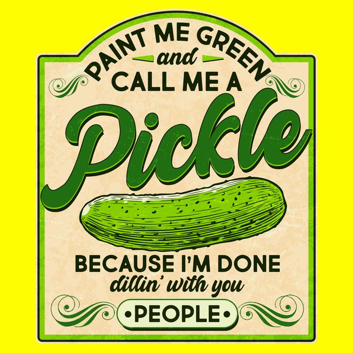 Vintage Paint Me Green And Call Me A Pickle Im Done Dillin With You People T-Shirt
