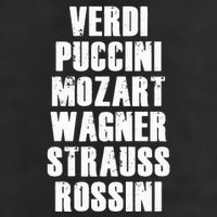 Verdi Puccini Mozart Wagner Strauss Rossini Opera Adult Drive Performance Visor