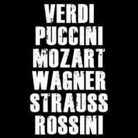 Verdi Puccini Mozart Wagner Strauss Rossini Opera Flat Bill Trucker Hat