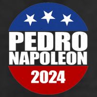 Vote Pedro Napoleon 2024 Election 7 Panel Mesh Trucker Snapback Hat