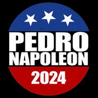 Vote Pedro Napoleon 2024 Election Flatbill Hat