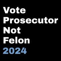 Vote Prosecutor Not Felon Sustainable Bucket Hat