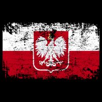 Vintage Polish Poland Polska Flag Distressed Hoodie