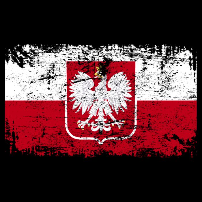 Vintage Polish Poland Polska Flag Distressed Hoodie
