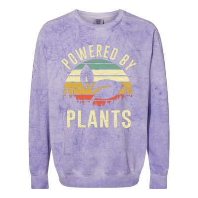 Vintage Powered Plants Vegetarian By Vegan Diet Colorblast Crewneck Sweatshirt