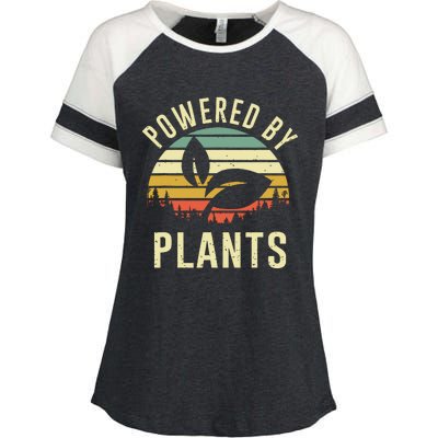 Vintage Powered Plants Vegetarian By Vegan Diet Enza Ladies Jersey Colorblock Tee