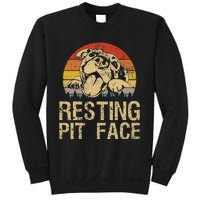 Vintage Pitbull Resting Pit Face Funny Pitbull Lovers Sweatshirt