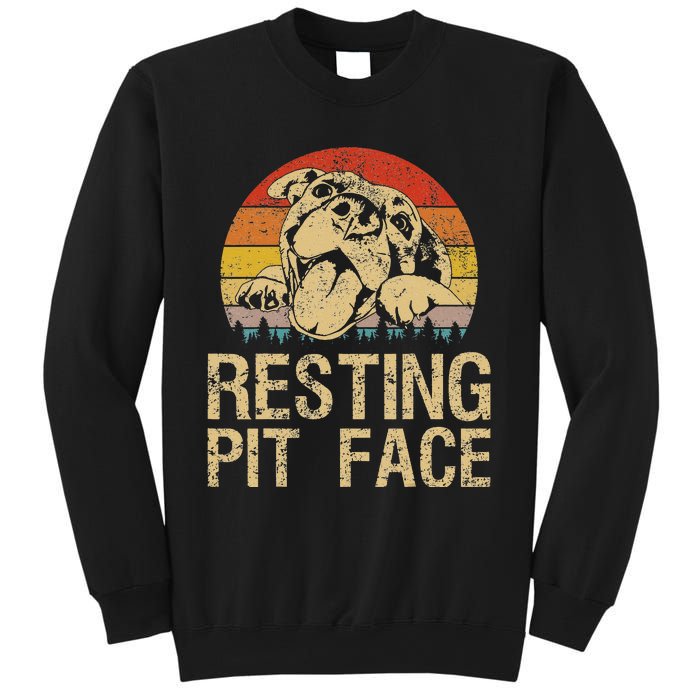 Vintage Pitbull Resting Pit Face Funny Pitbull Lovers Sweatshirt