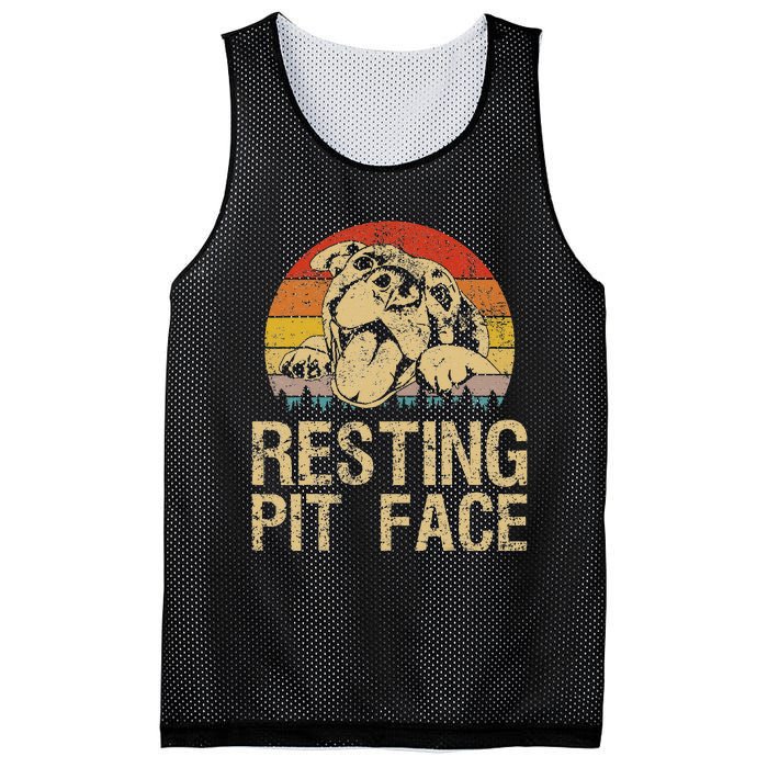 Vintage Pitbull Resting Pit Face Funny Pitbull Lovers Mesh Reversible Basketball Jersey Tank