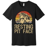 Vintage Pitbull Resting Pit Face Funny Pitbull Lovers Premium T-Shirt