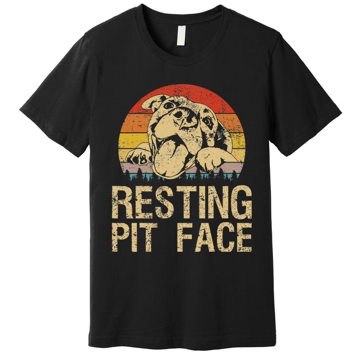 Vintage Pitbull Resting Pit Face Funny Pitbull Lovers Premium T-Shirt