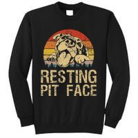 Vintage Pitbull Resting Pit Face Funny Pitbull Lovers Tall Sweatshirt