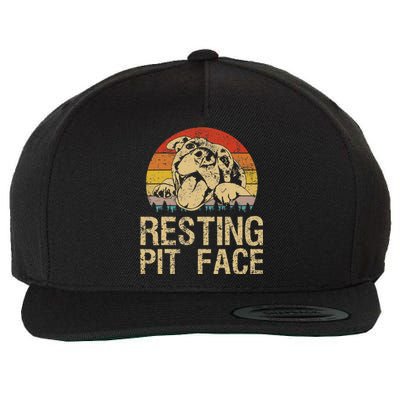 Vintage Pitbull Resting Pit Face Funny Pitbull Lovers Wool Snapback Cap