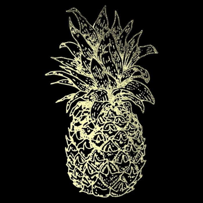 Vintage Pineapple Summer Vacation Graphic Visor