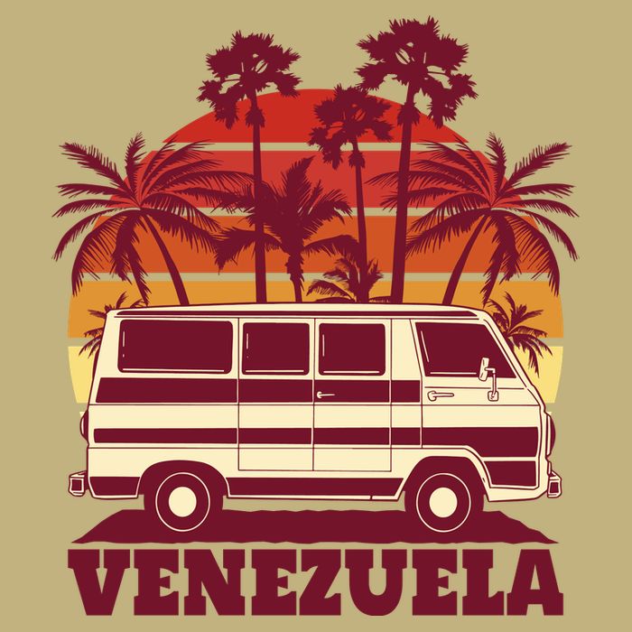 Venezuela Palm Tree Sunset Retro Hoodie
