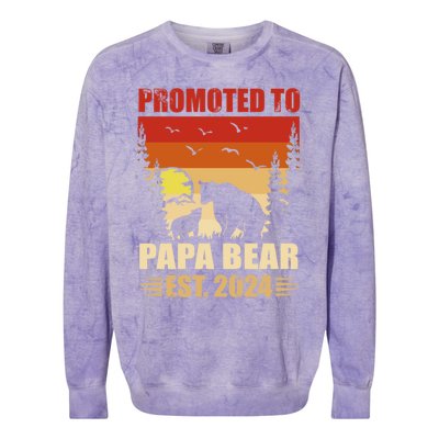 Vintage Promote To Papa Bear 2024 Family Matching Gift Colorblast Crewneck Sweatshirt