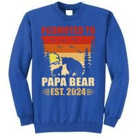 Vintage Promote To Papa Bear 2024 Family Matching Gift Tall Sweatshirt