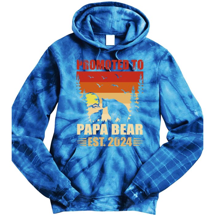 Vintage Promote To Papa Bear 2024 Family Matching Gift Tie Dye Hoodie