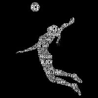 Volleyball Player Cropped Pullover Crew
