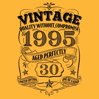 Vintage Quality Without Compromise Age Perfectly 1995 30th Birthday T-Shirt