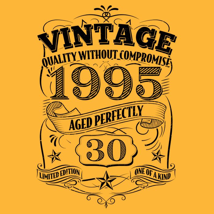 Vintage Quality Without Compromise Age Perfectly 1995 30th Birthday T-Shirt