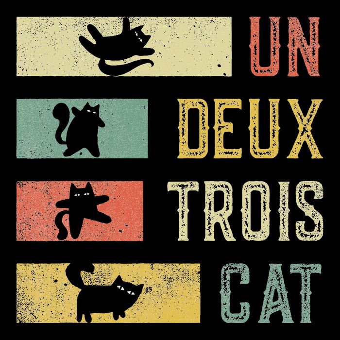 Vintage Retro 70s 80s 90s Un Deux Trois Cat Funny Cat Lover Button